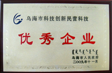 2009年烏海市科技創(chuàng)新民營科技優(yōu)秀企業(yè)