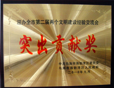 2010年烏海市文明建設(shè)經(jīng)驗(yàn)交流會突出貢獻(xiàn)獎